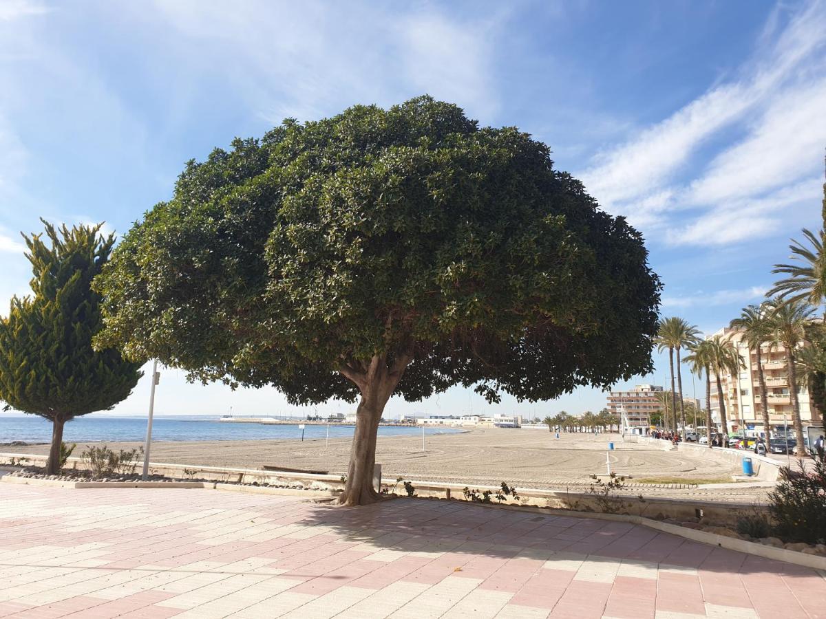 Appartamento Beautiful Flat With Sea View And Sound Of The Surf Santa Pola Esterno foto